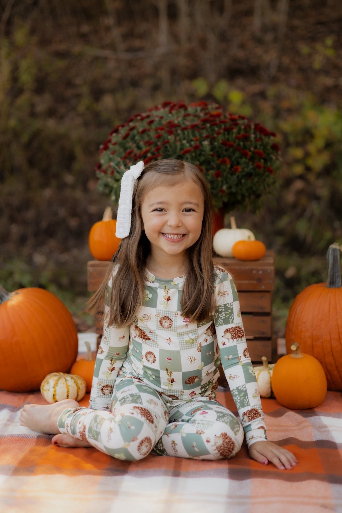 Harvest Hedgehogs 2pc Bamboo Pajamas